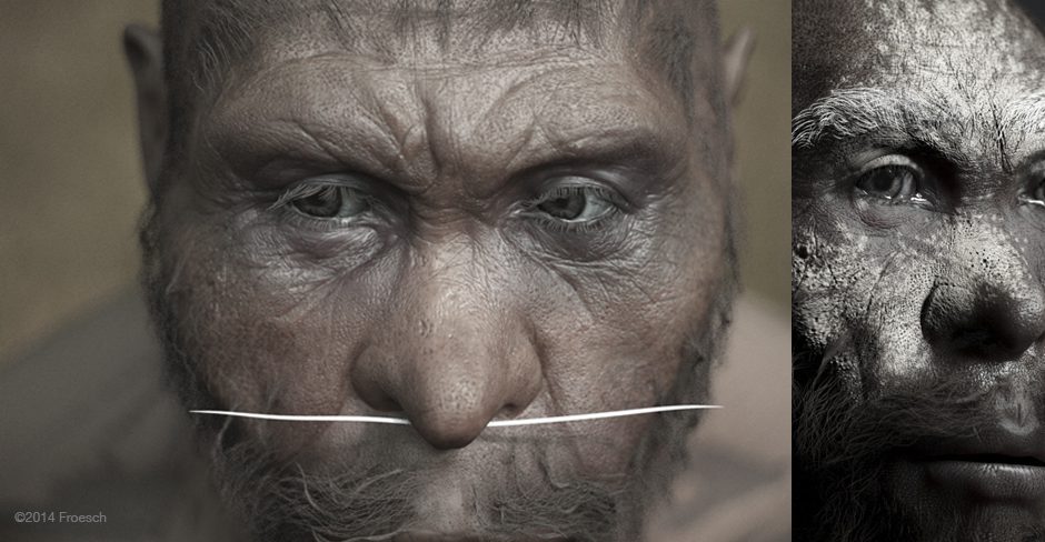 headGEO1