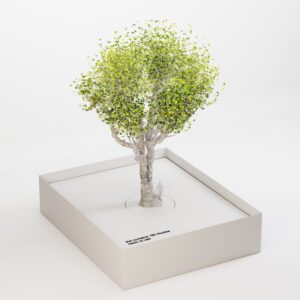 Q_Cut_PlaneTrees_1 [180 tree models]
