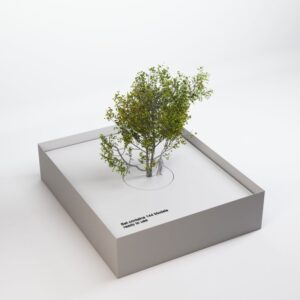Q_CITY_PlaneTrees_1 [144 tree models]