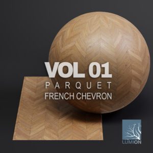 Parquet vol01 French Chevron (Lumion)