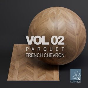 Parquet vol02 French Chevron (Lumion)