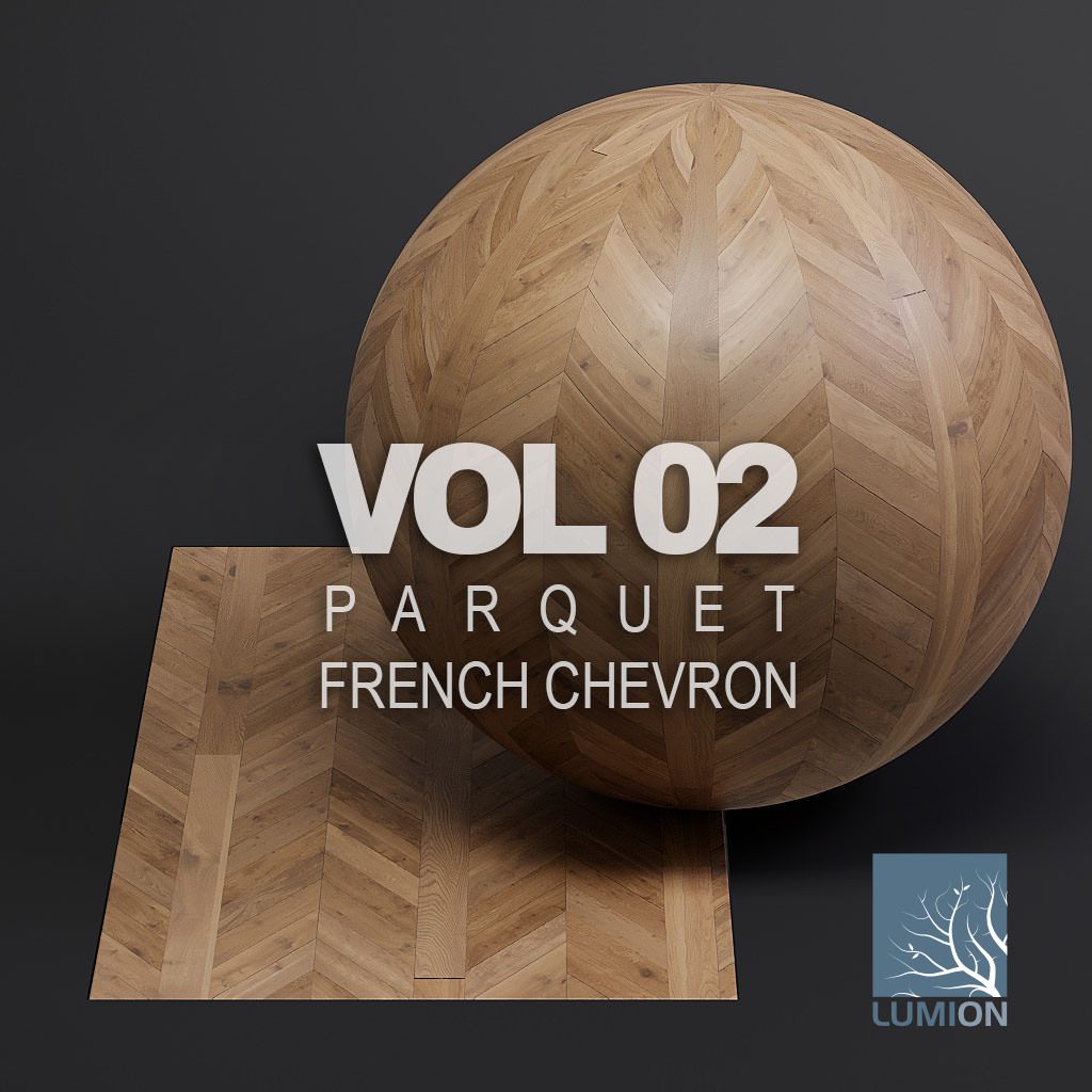 Parquet vol02 French Chevron (Lumion)